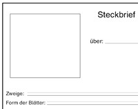 Kostenloser Download - Arbeitsblatt "Steckbrief"